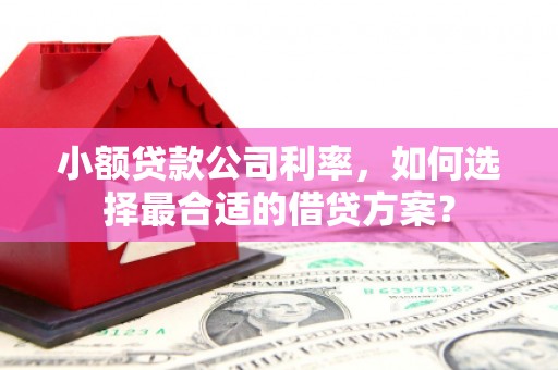 邵阳小额贷款公司利率，如何选择最合适的借贷方案？