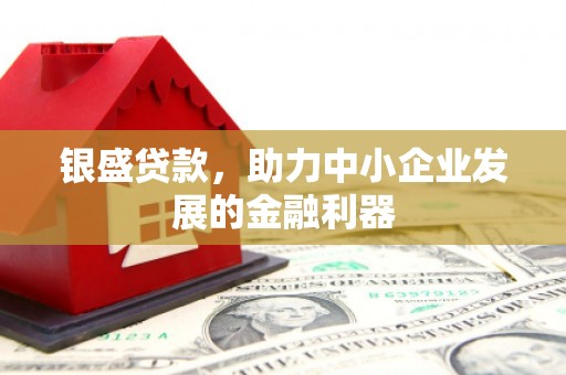 邵阳银盛贷款，助力中小企业发展的金融利器
