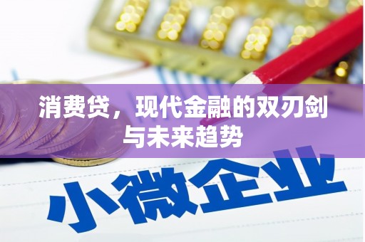 邵阳消费贷，现代金融的双刃剑与未来趋势