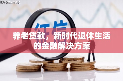 邵阳养老贷款，新时代退休生活的金融解决方案