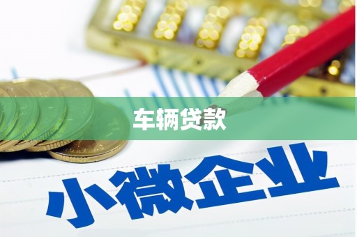 邵阳车辆贷款