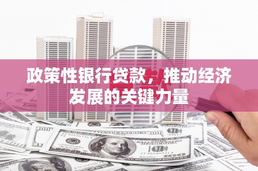 邵阳政策性银行贷款，推动经济发展的关键力量