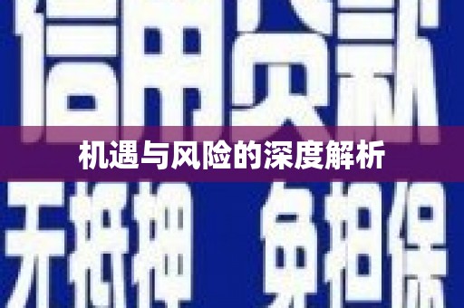 邵阳机遇与风险的深度解析