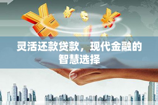 邵阳灵活还款贷款，现代金融的智慧选择
