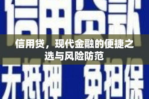 邵阳信用贷，现代金融的便捷之选与风险防范