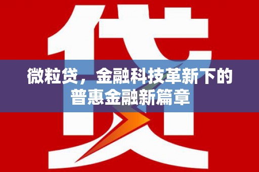 邵阳微粒贷，金融科技革新下的普惠金融新篇章
