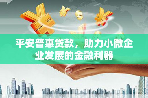 邵阳平安普惠贷款，助力小微企业发展的金融利器