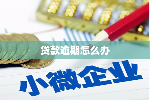 邵阳贷款逾期怎么办