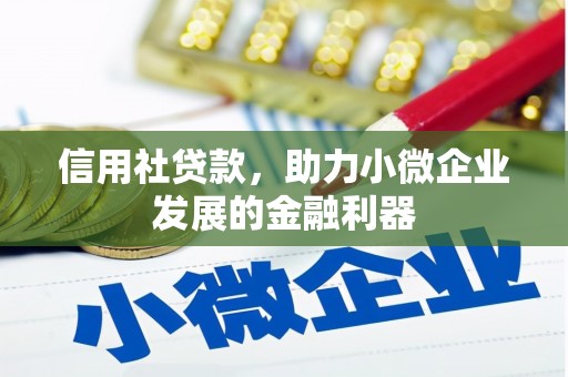 邵阳信用社贷款，助力小微企业发展的金融利器