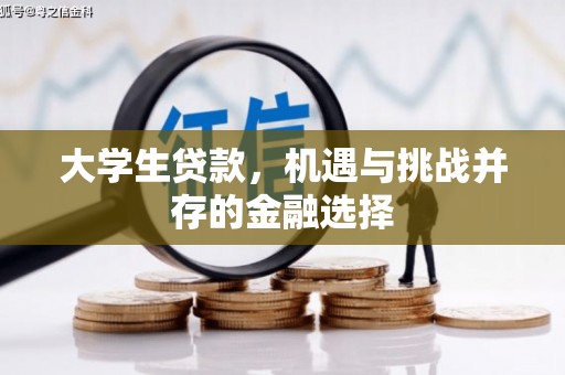 邵阳大学生贷款，机遇与挑战并存的金融选择