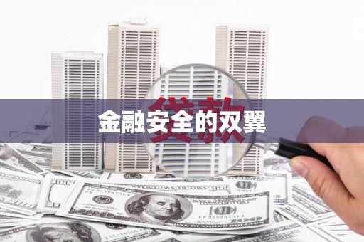邵阳金融安全的双翼