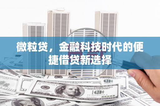 邵阳微粒贷，金融科技时代的便捷借贷新选择