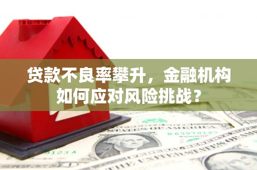 邵阳贷款不良率攀升，金融机构如何应对风险挑战？