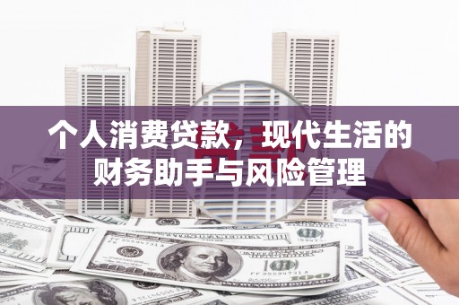 邵阳个人消费贷款，现代生活的财务助手与风险管理