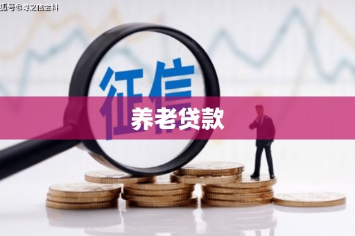 邵阳养老贷款