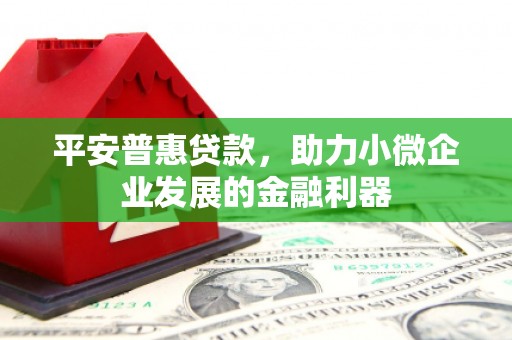 邵阳平安普惠贷款，助力小微企业发展的金融利器