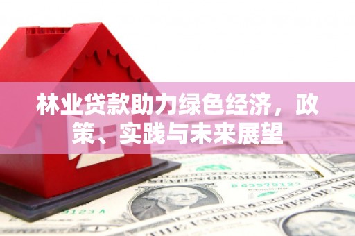 邵阳林业贷款助力绿色经济，政策、实践与未来展望