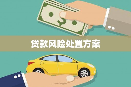 邵阳贷款风险处置方案