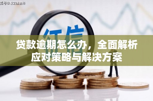 邵阳贷款逾期怎么办，全面解析应对策略与解决方案