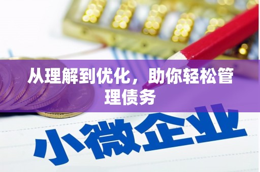 邵阳从理解到优化，助你轻松管理债务