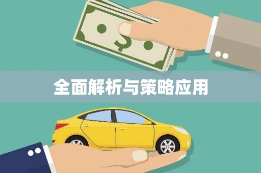 邵阳全面解析与策略应用