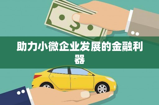 邵阳助力小微企业发展的金融利器