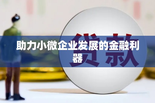 邵阳助力小微企业发展的金融利器