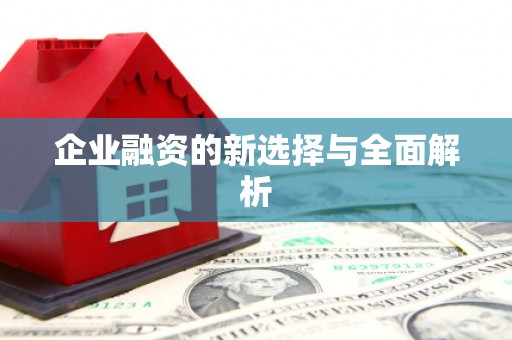 邵阳企业融资的新选择与全面解析