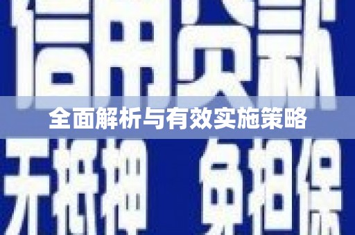 邵阳全面解析与有效实施策略