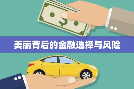 邵阳美丽背后的金融选择与风险
