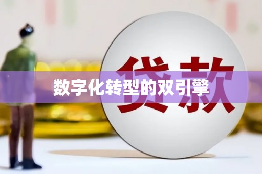 邵阳数字化转型的双引擎