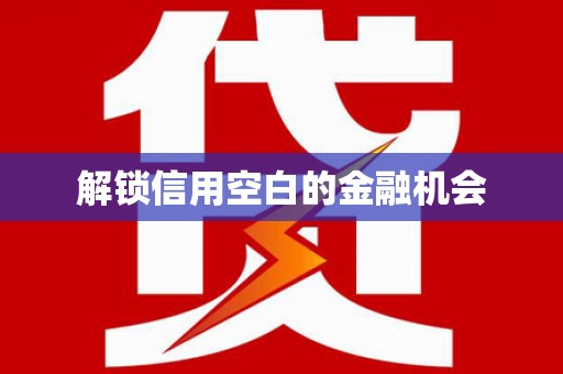 邵阳解锁信用空白的金融机会