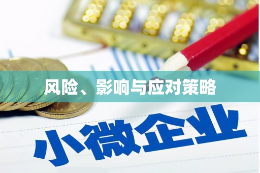 邵阳风险、影响与应对策略