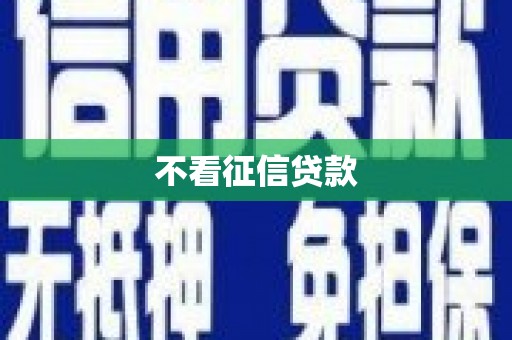 邵阳不看征信贷款