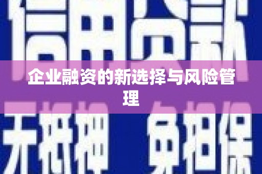 邵阳企业融资的新选择与风险管理