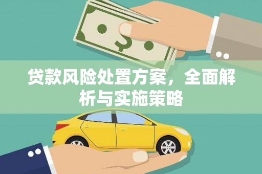 邵阳贷款风险处置方案，全面解析与实施策略