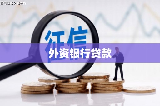 邵阳外资银行贷款