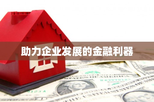 邵阳助力企业发展的金融利器