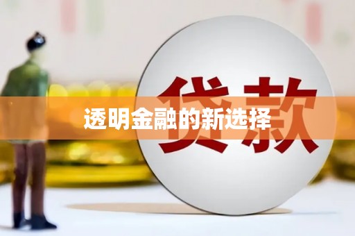 邵阳透明金融的新选择