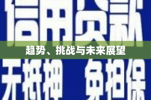 邵阳趋势、挑战与未来展望