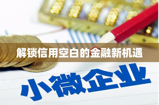 邵阳解锁信用空白的金融新机遇
