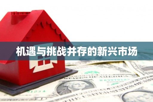 邵阳机遇与挑战并存的新兴市场