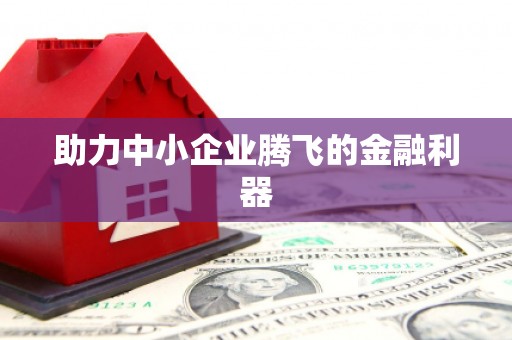 邵阳助力中小企业腾飞的金融利器