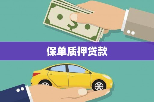 邵阳保单质押贷款