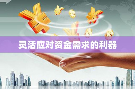 邵阳灵活应对资金需求的利器