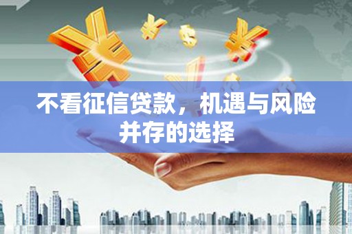 邵阳不看征信贷款，机遇与风险并存的选择