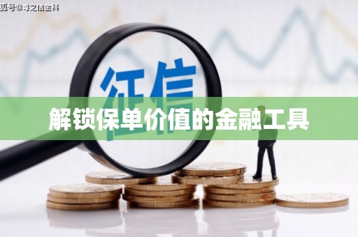 邵阳解锁保单价值的金融工具