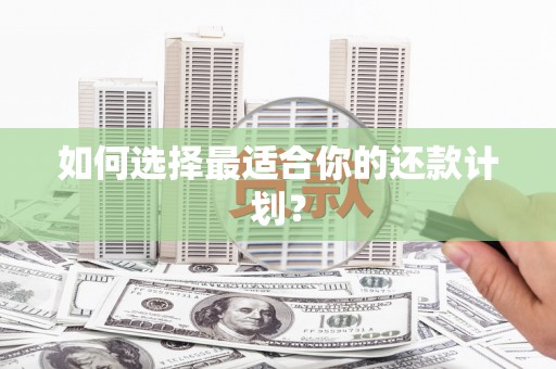 邵阳如何选择最适合你的还款计划？