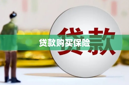 邵阳贷款购买保险