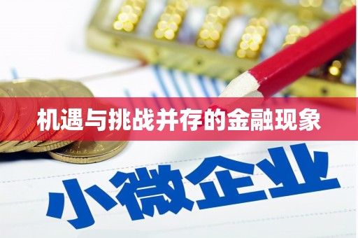 邵阳机遇与挑战并存的金融现象